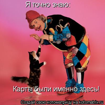 Я точно знаю: Карты были именно здесь!... Котоматрица: Я точно знаю: Карты были именно здесь!