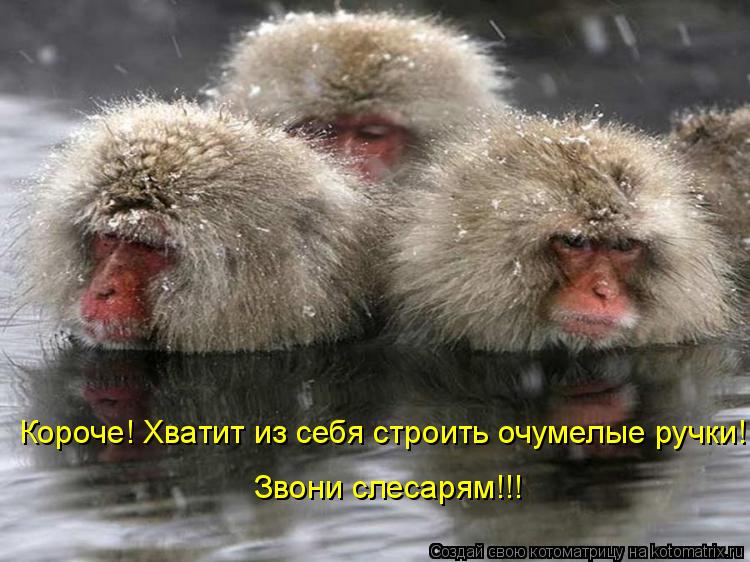Котоматрица: Короче! Хватит из себя строить очумелые ручки! Звони слесарям!!!