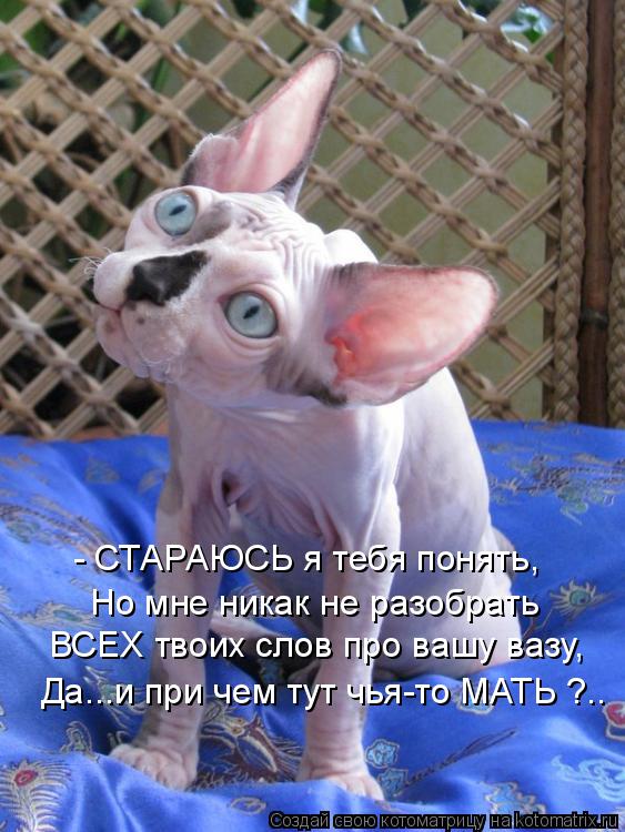 - СТАРАЮСЬ я тебя понять, Но мне никак не разобрать ВСЕХ твоих слов про вашу вазу, Да...и при чем тут... Котоматрица: - СТАРАЮСЬ я тебя понять, Но мне никак не разобрать ВСЕХ твоих слов про вашу вазу, Да...и при чем тут чья-то МАТЬ ?..