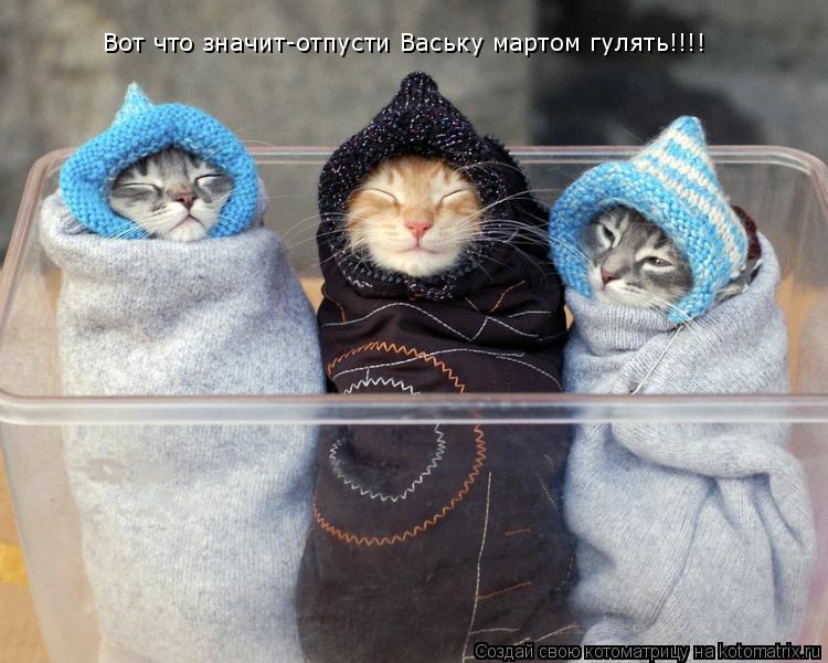 Вот что значит-отпусти Ваську мартом гулять!!!!... Котоматрица: Вот что значит-отпусти Ваську мартом гулять!!!!