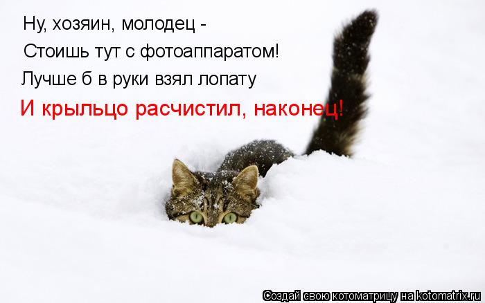 Стоишь тут с фотоаппаратом! Ну, хозяин, молодец - Лучше б в руки взял лопату И крыльцо расчистил, на... Котоматрица: Стоишь тут с фотоаппаратом! Ну, хозяин, молодец - Лучше б в руки взял лопату И крыльцо расчистил, наконец!