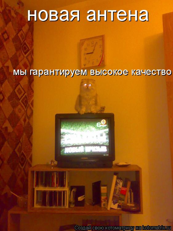 новая антена мы гарантируем высокое качество... Котоматрица: новая антена мы гарантируем высокое качество