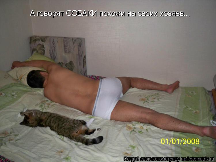 А говорят СОБАКИ похожи на своих хозяев...... Котоматрица: А говорят СОБАКИ похожи на своих хозяев...