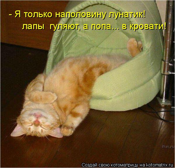 - Я только наполовину лунатик! лапы гуляют, а попа... в кровати!... Котоматрица: - Я только наполовину лунатик! лапы гуляют, а попа... в кровати!