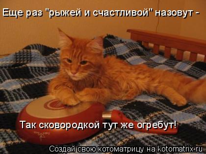 Еще раз "рыжей и счастливой" назовут - Так сковородкой тут же огребут!... Котоматрица: Еще раз "рыжей и счастливой" назовут - Так сковородкой тут же огребут!