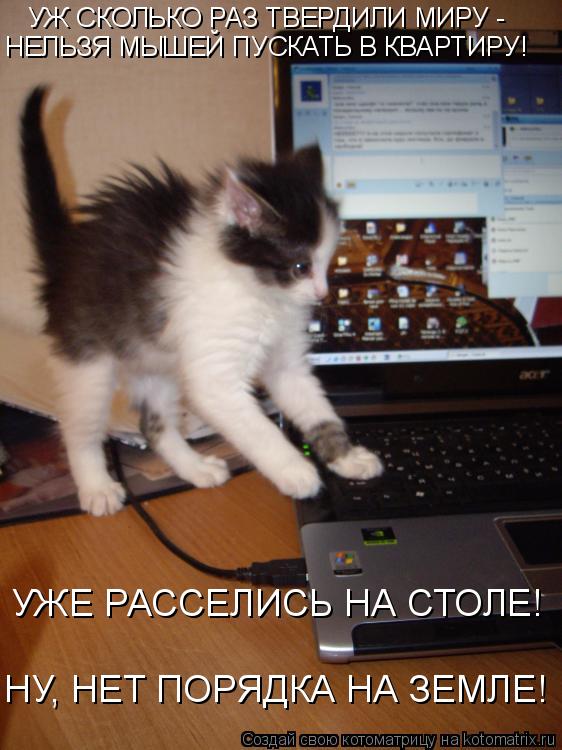 УЖ СКОЛЬКО РАЗ ТВЕРДИЛИ МИРУ - НЕЛЬЗЯ МЫШЕЙ ПУСКАТЬ В КВАРТИРУ! УЖЕ РАССЕЛИСЬ НА СТОЛЕ! НУ, НЕТ ПОРЯД... Котоматрица: УЖ СКОЛЬКО РАЗ ТВЕРДИЛИ МИРУ - НЕЛЬЗЯ МЫШЕЙ ПУСКАТЬ В КВАРТИРУ! УЖЕ РАССЕЛИСЬ НА СТОЛЕ! НУ, НЕТ ПОРЯДКА НА ЗЕМЛЕ!