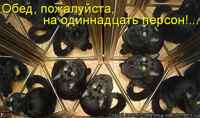 Обед, пожалуйста, на одиннадцать персон!...... Котоматрица: Обед, пожалуйста, на одиннадцать персон!...