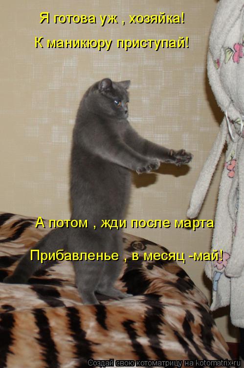 Я готова уж , хозяйка! К маникюру приступай! А потом , жди после марта Прибавленье , в месяц -май!... Котоматрица: Я готова уж , хозяйка! К маникюру приступай! А потом , жди после марта Прибавленье , в месяц -май!