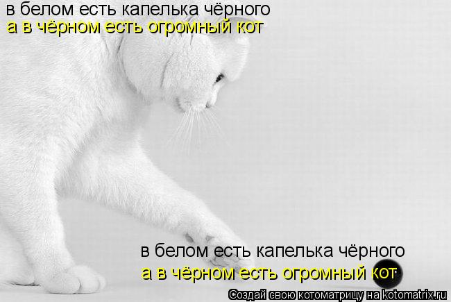 в белом есть капелька чёрного а в чёрном есть огромный кот а в чёрном есть огромный кот в белом есть ... Котоматрица: в белом есть капелька чёрного а в чёрном есть огромный кот а в чёрном есть огромный кот в белом есть капелька чёрного