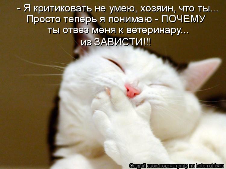 Котоматрица: - Я критиковать не умею, хозяин, что ты... Просто теперь я понимаю - ПОЧЕМУ ты отвез меня к ветеринару...  из ЗАВИСТИ!!!