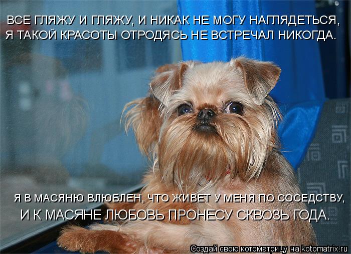 А я гляжу наглядеться не могу стих А я гляжу наглядеться не могу стих