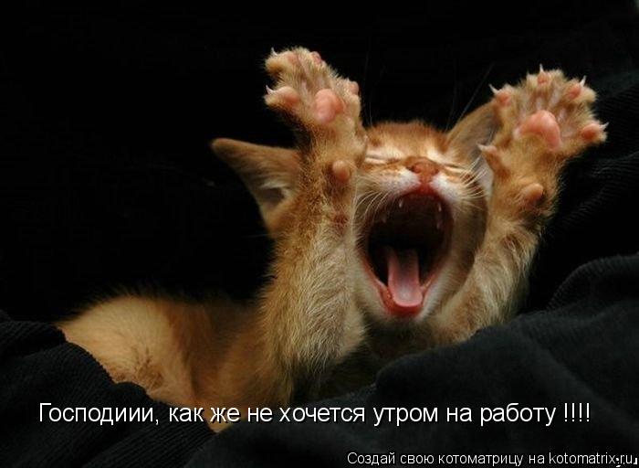 Господиии, как же не хочется утром на работу !!!!... Котоматрица: Господиии, как же не хочется утром на работу !!!!