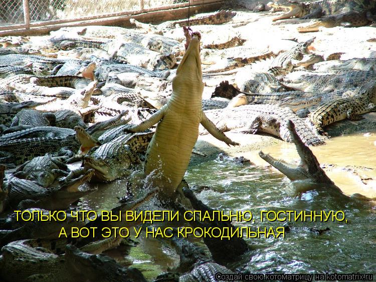 ТОЛЬКО ЧТО ВЫ ВИДЕЛИ СПАЛЬНЮ, ГОСТИННУЮ, А ВОТ ЭТО У НАС КРОКОДИЛЬНАЯ... Котоматрица: ТОЛЬКО ЧТО ВЫ ВИДЕЛИ СПАЛЬНЮ, ГОСТИННУЮ, А ВОТ ЭТО У НАС КРОКОДИЛЬНАЯ