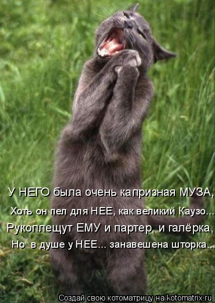 Котоматрица: У НЕГО была очень капризная МУЗА,  Хоть он пел для НЕЕ, как великий Каузо...  Рукоплещут ЕМУ и партер, и галёрка,  Но  в душе у НЕЕ... занавешена ш