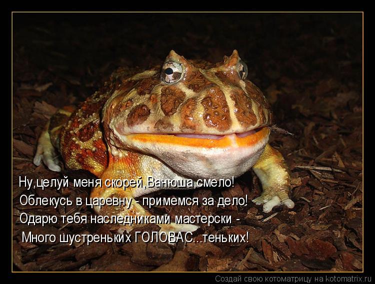 Котоматрица: Ну,целуй меня скорей,Ванюша,смело! Одарю тебя наследниками мастерски - Много шустреньких ГОЛОВАС...теньких! Облекусь в царевну - примемся за 