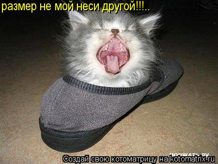 размер не мой неси другой!!!..... Котоматрица: размер не мой неси другой!!!..