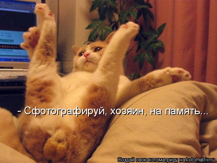 - Сфотографируй, хозяин, на память...... Котоматрица: - Сфотографируй, хозяин, на память...