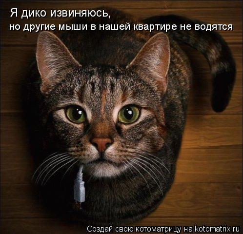 Я дико извиняюсь, но другие мыши в нашей квартире не водятся... Котоматрица: Я дико извиняюсь, но другие мыши в нашей квартире не водятся