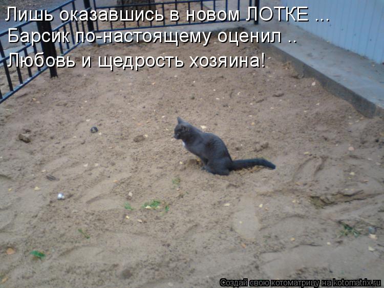 Лишь оказавшись в новом ЛОТКЕ ... Барсик по-настоящему оценил .. Любовь и щедрость хозяина!... Котоматрица: Лишь оказавшись в новом ЛОТКЕ ... Барсик по-настоящему оценил .. Любовь и щедрость хозяина!
