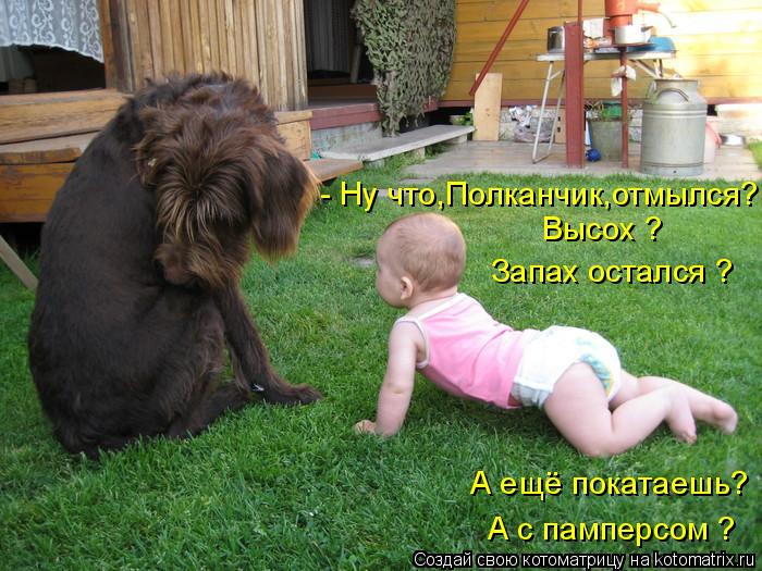 - Ну что,Полканчик,отмылся? Высох ? Запах остался ? А ещё покатаешь? А с памперсом ?... Котоматрица: - Ну что,Полканчик,отмылся? Высох ? Запах остался ? А ещё покатаешь? А с памперсом ?