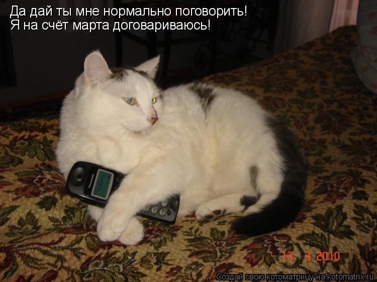 Да дай ты мне нормально поговорить! Я на счёт марта договариваюсь!... Котоматрица: Да дай ты мне нормально поговорить! Я на счёт марта договариваюсь!