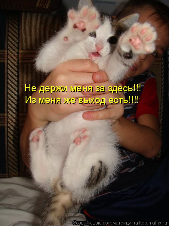 Котоматрица: Не держи меня за здесь!!! Из меня же выход есть!!!!