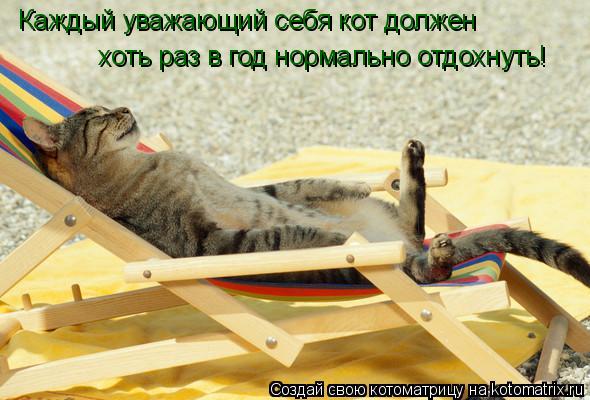 Котоматрица: Каждый уважающий себя кот должен хоть раз в год нормально отдохнуть!