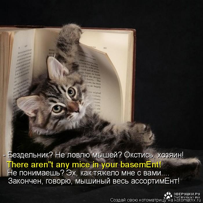 Котоматрица: - Бездельник? Не ловлю мышей? Окстись, хозяин! There aren"t any mice in your basemЕnt! Не понимаешь? Эх, как тяжело мне с вами.... Закончен, говорю, м