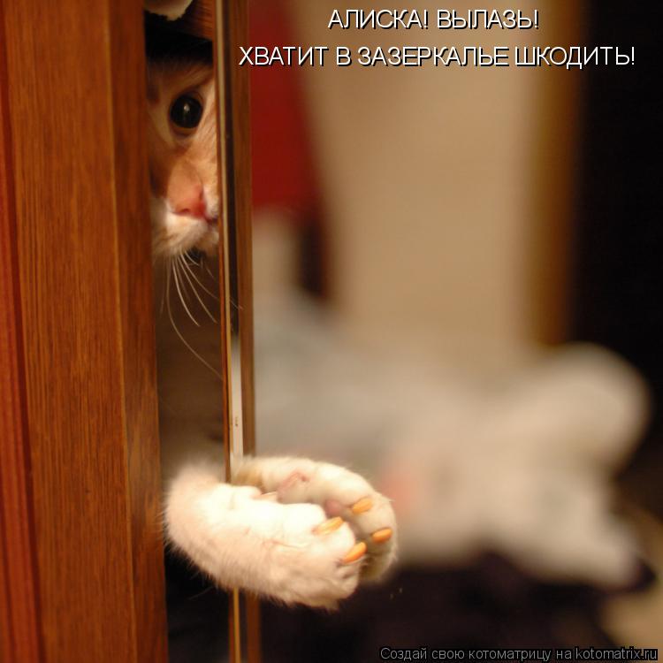 АЛИСКА! ВЫЛАЗЬ! ХВАТИТ В ЗАЗЕРКАЛЬЕ ШКОДИТЬ!... Котоматрица: АЛИСКА! ВЫЛАЗЬ! ХВАТИТ В ЗАЗЕРКАЛЬЕ ШКОДИТЬ!