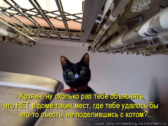 Котоматрица: - Хозяин, ну сколько раз тебе объяснять,  что НЕТ в доме таких мест, где тебе удалось бы  что-то съесть, не поделившись с котом?..