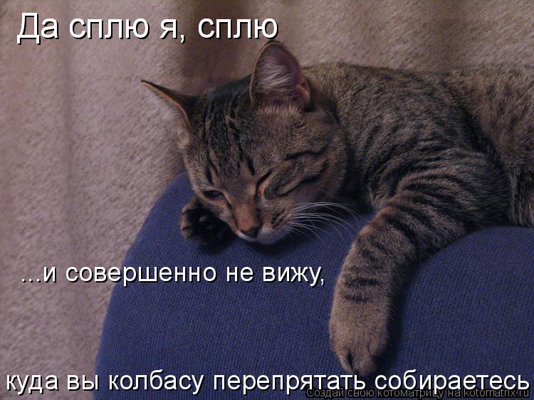 Да сплю я, сплю Да сплю я, сплю ...и совершенно не вижу, куда вы колбасу перепрятать собираетесь... Котоматрица: Да сплю я, сплю Да сплю я, сплю ...и совершенно не вижу, куда вы колбасу перепрятать собираетесь
