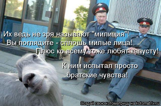 Их ведь не зря называют "милиция"! Вы поглядите - сплошь милые лица! Плюс ко всему тоже любят капусту... Котоматрица: Их ведь не зря называют "милиция"! Вы поглядите - сплошь милые лица! Плюс ко всему тоже любят капусту! К ним испытал просто братские чувства!