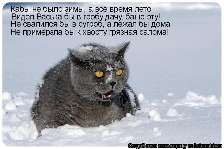 Кабы не было зимы, а всё время лето Видел Васька бы в гробу дачу, баню эту! Не свалился бы в сугроб, ... Котоматрица: Кабы не было зимы, а всё время лето Видел Васька бы в гробу дачу, баню эту! Не свалился бы в сугроб, а лежал бы дома Не примёрзла бы к хвосту гр