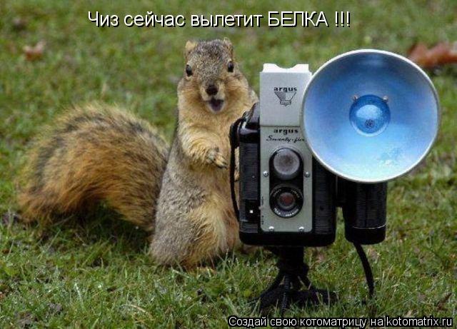 Чиз сейчас вылетит БЕЛКА !!!... Котоматрица: Чиз сейчас вылетит БЕЛКА !!!