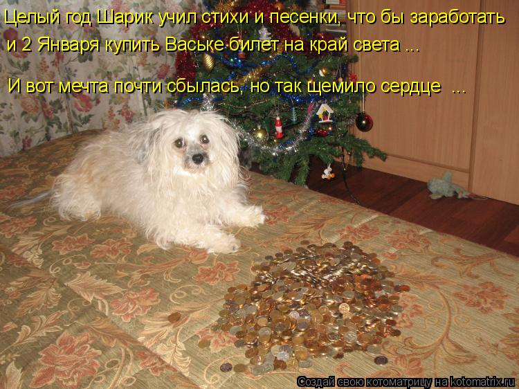 Целый год Шарик учил стихи и песенки, что бы заработать и 2 Января купить Ваське билет на край света ... Котоматрица: Целый год Шарик учил стихи и песенки, что бы заработать и 2 Января купить Ваське билет на край света ... И вот мечта почти сбылась, но так щемил