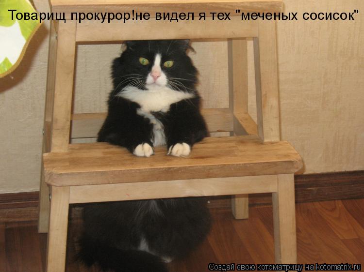 Котоматрица: Товарищ прокурор!не видел я тех "меченых сосисок"