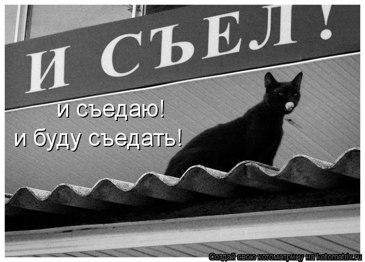 Котоматрица: и съедаю!  и буду съедать!