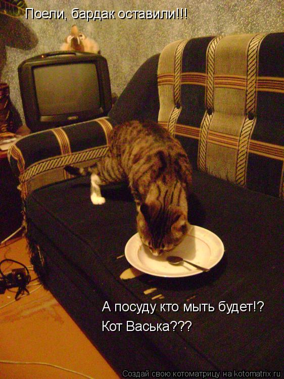 Котоматрица: Поели, бардак оставили!!! А посуду кто мыть будет!? Кот Васька???