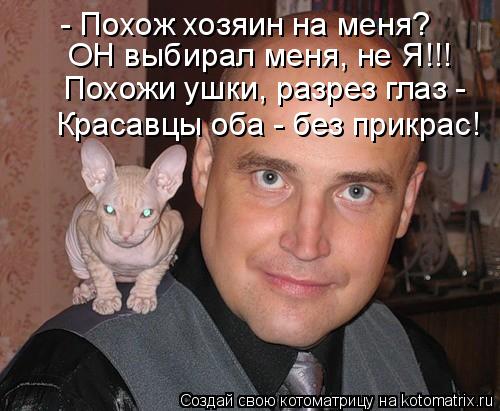 - Похож хозяин на меня? ОН выбирал меня, не Я!!! Похожи ушки, разрез глаз - Красавцы оба - без прикр... Котоматрица: - Похож хозяин на меня? ОН выбирал меня, не Я!!! Похожи ушки, разрез глаз - Красавцы оба - без прикрас!