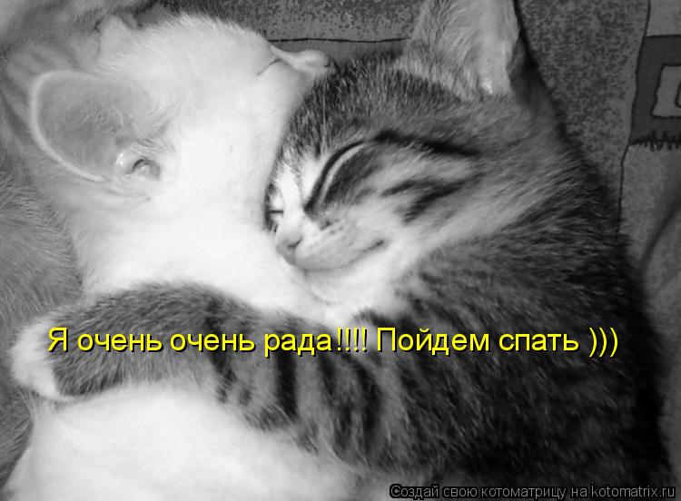 Я очень очень рада!!!! Пойдем спать )))... Котоматрица: Я очень очень рада!!!! Пойдем спать )))