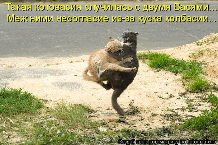 Котоматрица: Меж ними несогласие из-за куска колбасии... Такая котовасия случилась с двумя Васями...