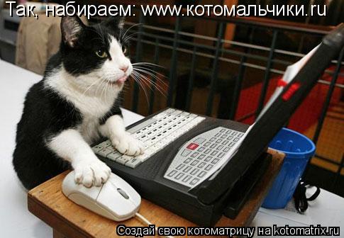 Котоматрица: Так, набираем: www.котомальчики.ru