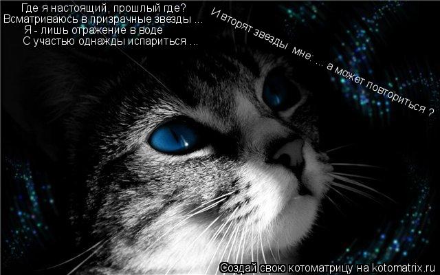 Котоматрица: Где я настоящий, прошлый где? Всматриваюсь в призрачные звезды ...  Я - лишь отражение в воде С участью однажды испариться ... И вторят звезды  м