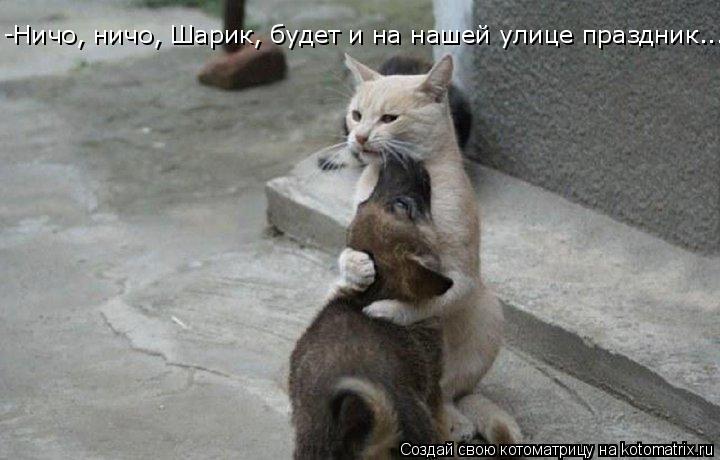 -Ничо, ничо, Шарик, будет и на нашей улице праздник...... Котоматрица: -Ничо, ничо, Шарик, будет и на нашей улице праздник...