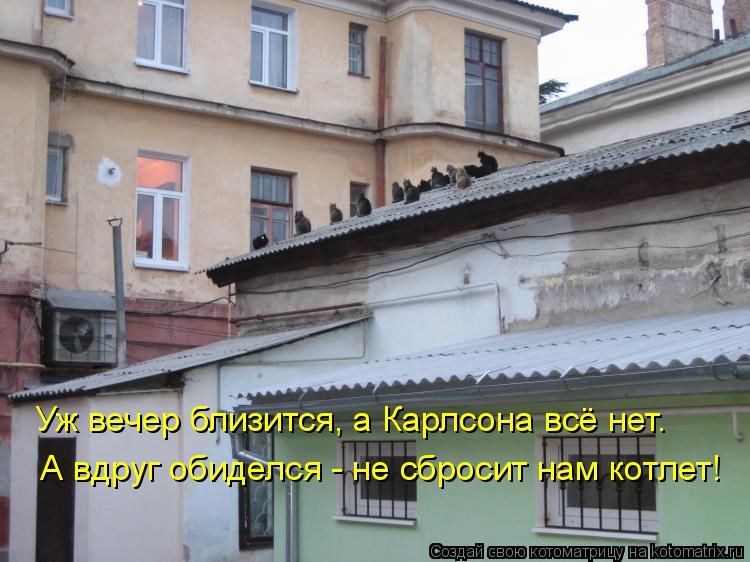 Котоматрица: Уж вечер близится, а Карлсона всё нет.  А вдруг обиделся - не сбросит нам котлет!