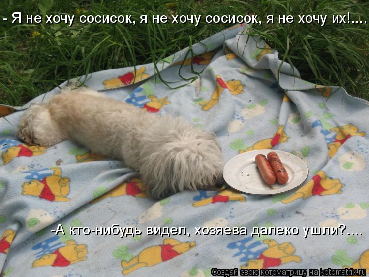 - Я не хочу сосисок, я не хочу сосисок, я не хочу их!.... -А кто-нибудь видел, хозяева далеко ушли?..... Котоматрица: - Я не хочу сосисок, я не хочу сосисок, я не хочу их!.... -А кто-нибудь видел, хозяева далеко ушли?....