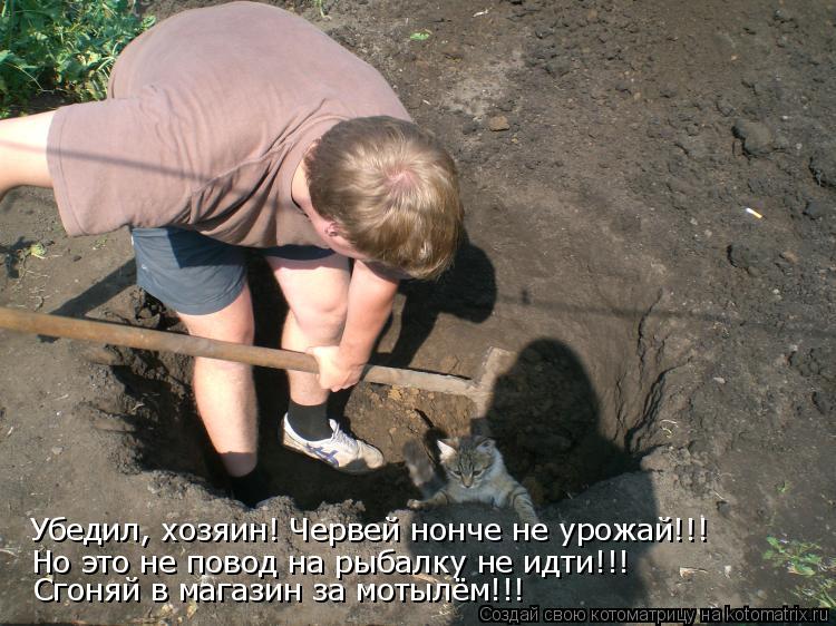 Убедил, хозяин! Червей нонче не урожай!!! Но это не повод на рыбалку не идти!!! Сгоняй в магазин за м... Котоматрица: Убедил, хозяин! Червей нонче не урожай!!! Но это не повод на рыбалку не идти!!! Сгоняй в магазин за мотылём!!!