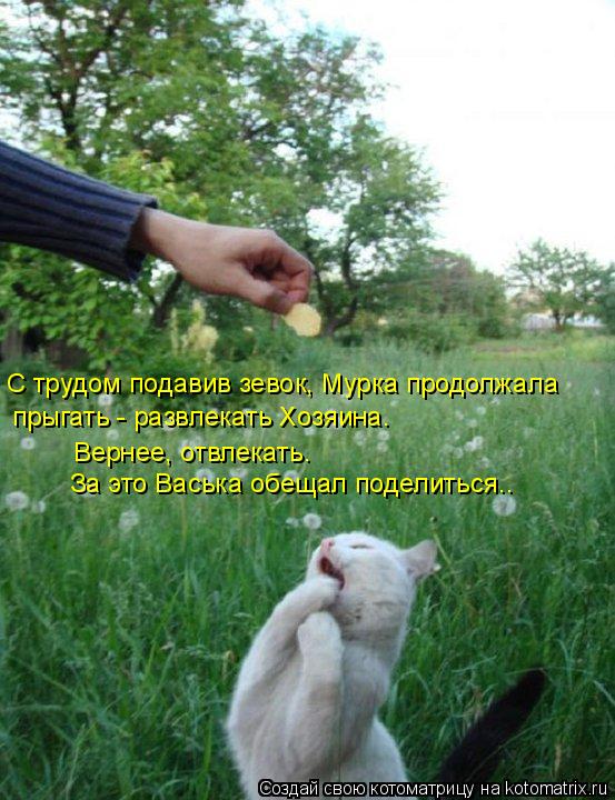 С трудом подавив зевок, Мурка продолжала прыгать - развлекать Хозяина. Вернее, отвлекать. За это Вась... Котоматрица: С трудом подавив зевок, Мурка продолжала прыгать - развлекать Хозяина. Вернее, отвлекать. За это Васька обещал поделиться..