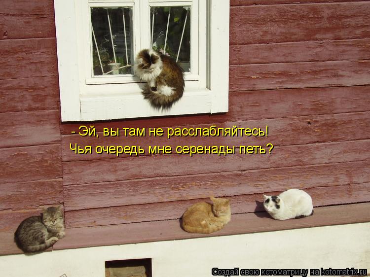 - Эй, вы там не расслабляйтесь! Чья очередь мне серенады петь?... Котоматрица: - Эй, вы там не расслабляйтесь! Чья очередь мне серенады петь?