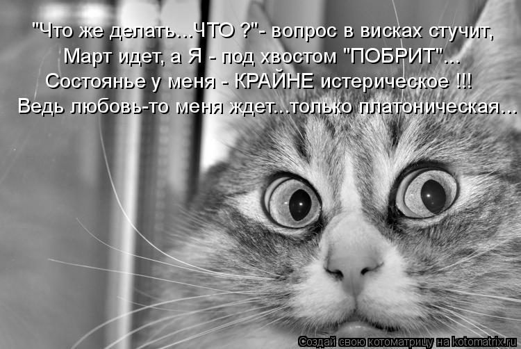"Что же делать...ЧТО ?"- вопрос в висках стучит, Март идет, а Я - под хвостом "ПОБРИТ"... Состоянье у... Котоматрица: "Что же делать...ЧТО ?"- вопрос в висках стучит, Март идет, а Я - под хвостом "ПОБРИТ"... Состоянье у меня - КРАЙНЕ истерическое !!! Ведь любовь-то ме